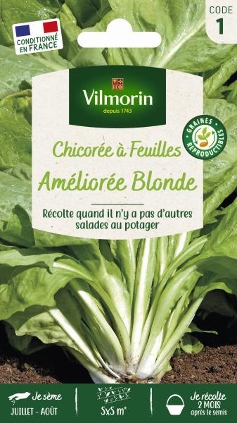 Potagères - Chicorée à Feuilles Améliorée Blonde - PACKAGING_RECTO
